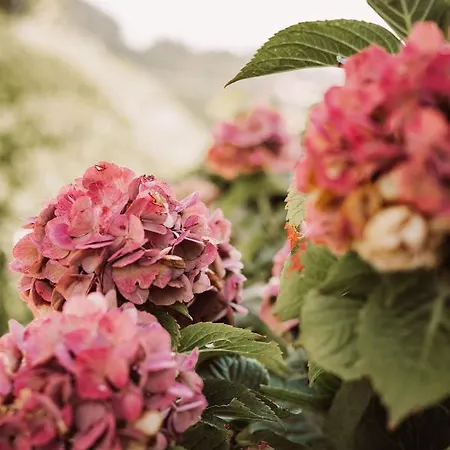 Weingut Kollerhof Am Eichberg