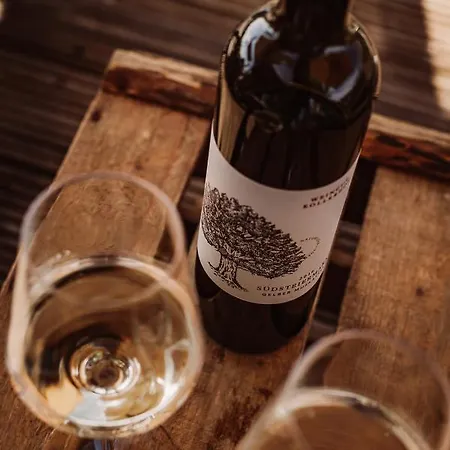 팜스테이 Weingut Kollerhof Am Eichberg *