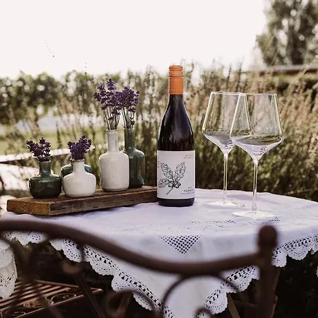 Weingut Kollerhof Am Eichberg * ロイトシャッハ