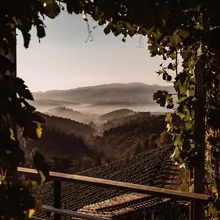 Weingut Kollerhof Am Eichberg * Leutschach
