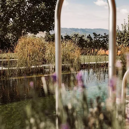 Çiftlik konaklama Weingut Kollerhof Am Eichberg *