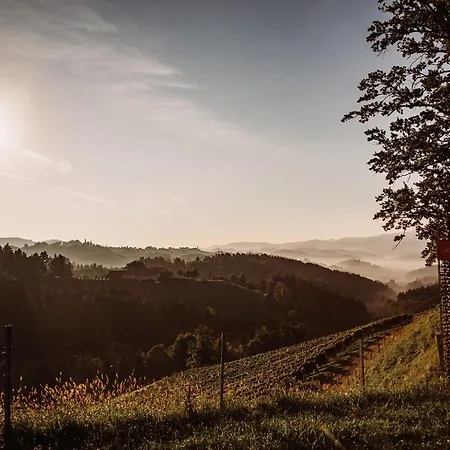 Weingut Kollerhof Am Eichberg