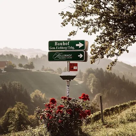 팜스테이 Weingut Kollerhof Am Eichberg *