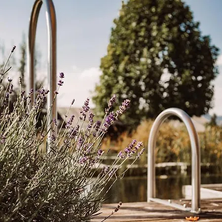 Çiftlik konaklama Weingut Kollerhof Am Eichberg