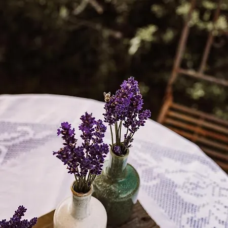 Farma Weingut Kollerhof Am Eichberg Leutschach