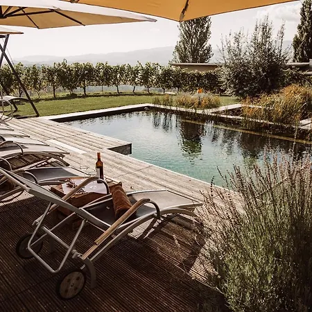 Weingut Kollerhof Am Eichberg ロイトシャッハ