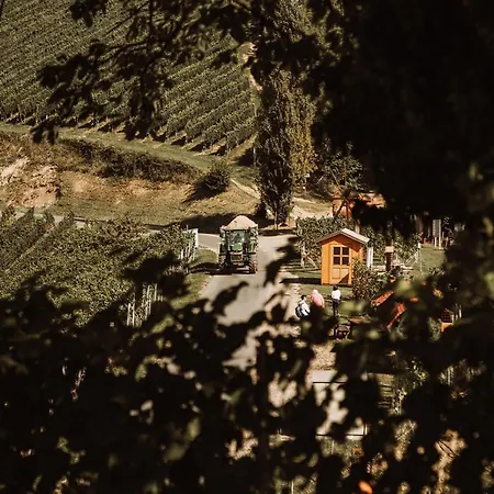 Weingut Kollerhof Am Eichberg 팜스테이