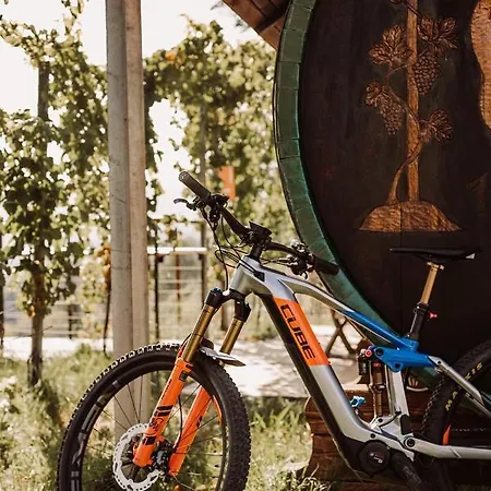 Weingut Kollerhof Am Eichberg Leutschach