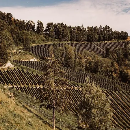 Alojamento de Turismo Rural Weingut Kollerhof Am Eichberg *