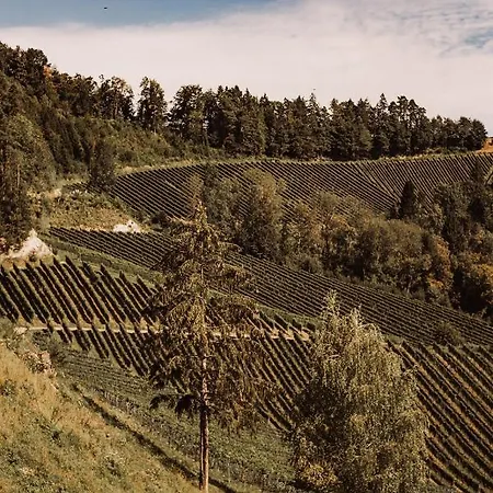 팜스테이 Weingut Kollerhof Am Eichberg *