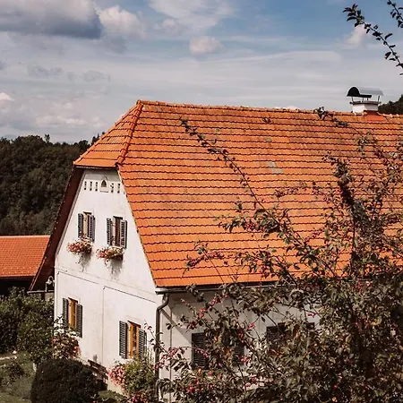 팜스테이 Weingut Kollerhof Am Eichberg *