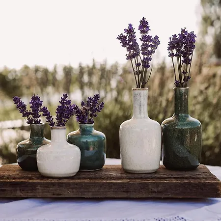 Weingut Kollerhof Am Eichberg ファームステイ *