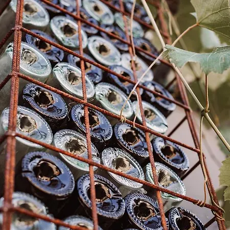 Weingut Kollerhof Am Eichberg Leutschach