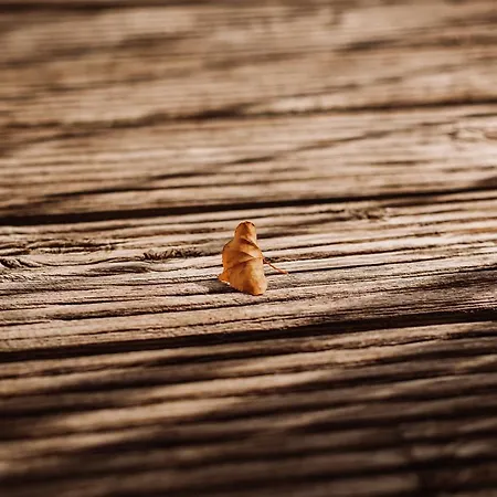 Weingut Kollerhof Am Eichberg Leutschach