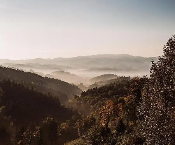 Weingut Kollerhof Am Eichberg مزرعة للإقامة