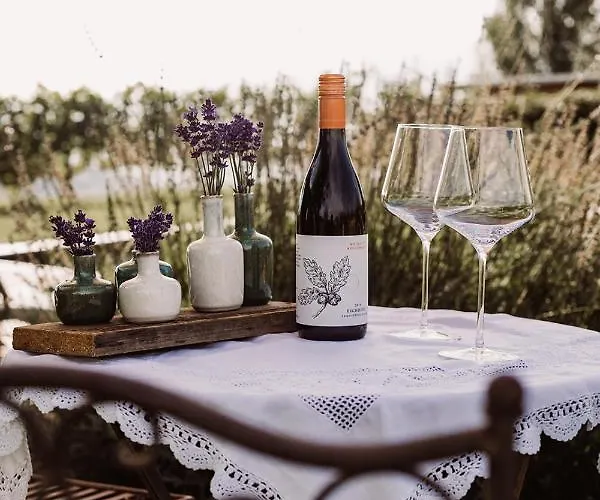 Weingut Kollerhof Am Eichberg * ليوتسشاخ