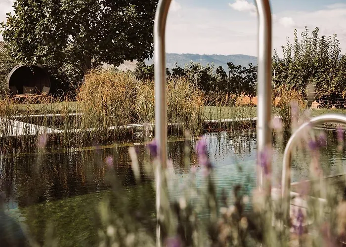 مزرعة للإقامة Weingut Kollerhof Am Eichberg *