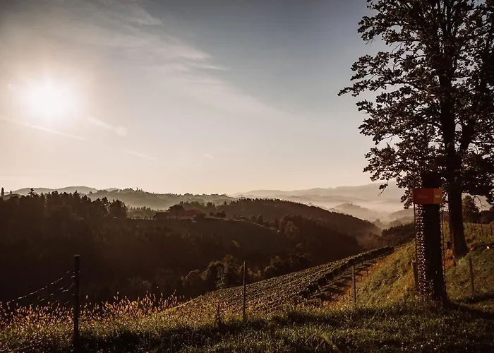 Weingut Kollerhof Am Eichberg