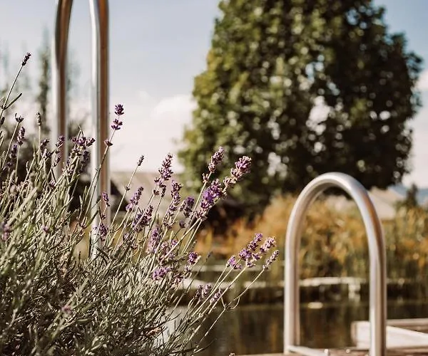 Alojamento de Turismo Rural Weingut Kollerhof Am Eichberg