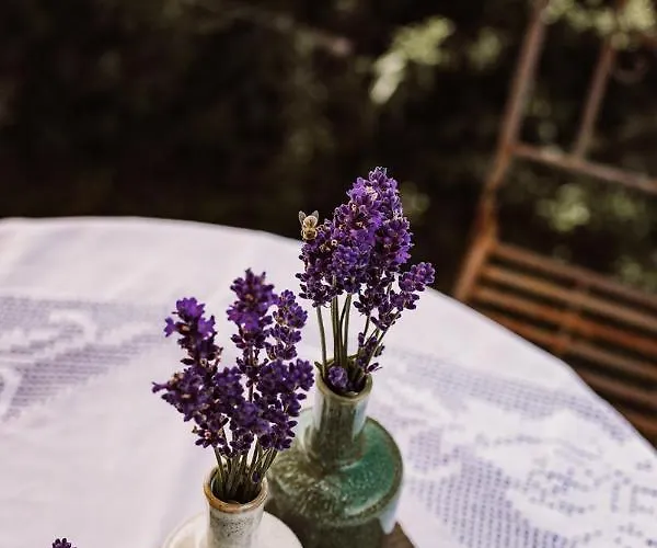 Alojamento de Turismo Rural Weingut Kollerhof Am Eichberg Leutschach
