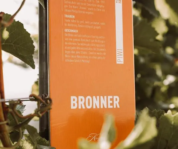 مزرعة للإقامة Weingut Kollerhof Am Eichberg ليوتسشاخ