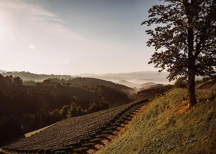 مزرعة للإقامة Weingut Kollerhof Am Eichberg ليوتسشاخ