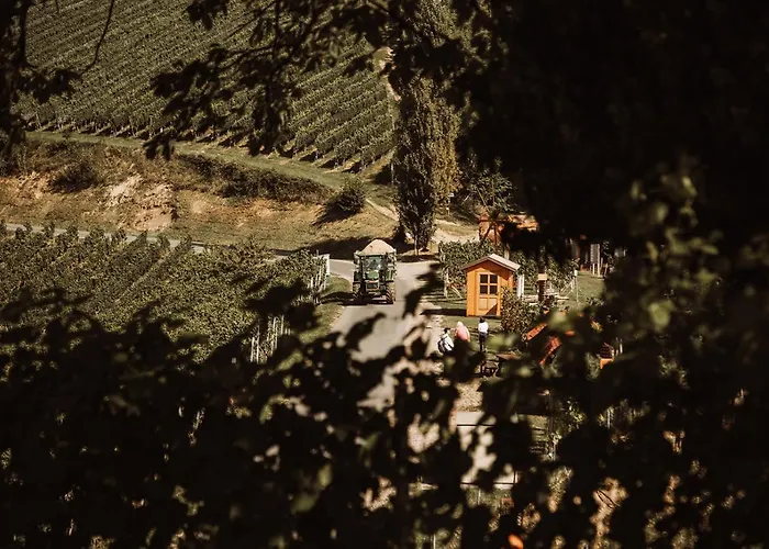Weingut Kollerhof Am Eichberg مزرعة للإقامة