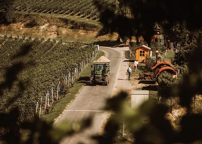 مزرعة للإقامة Weingut Kollerhof Am Eichberg ليوتسشاخ
