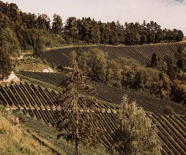 Alojamento de Turismo Rural Weingut Kollerhof Am Eichberg *