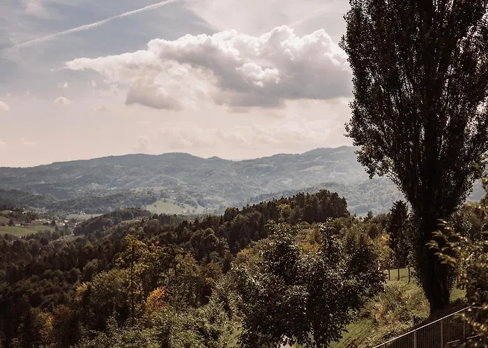 Weingut Kollerhof Am Eichberg * Leutschach