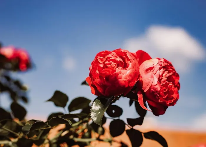 Weingut Kollerhof Am Eichberg ليوتسشاخ