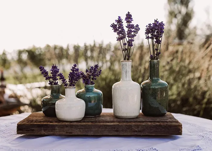 Weingut Kollerhof Am Eichberg مزرعة للإقامة *