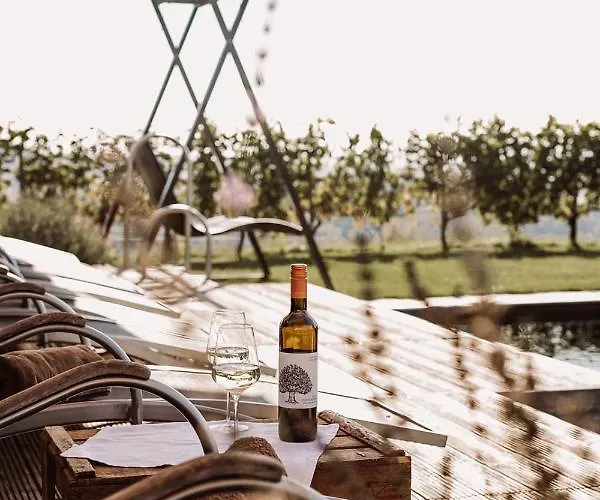 Weingut Kollerhof Am Eichberg Alojamento de Turismo Rural *