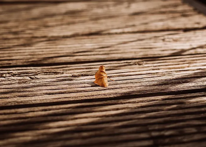 Weingut Kollerhof Am Eichberg Leutschach